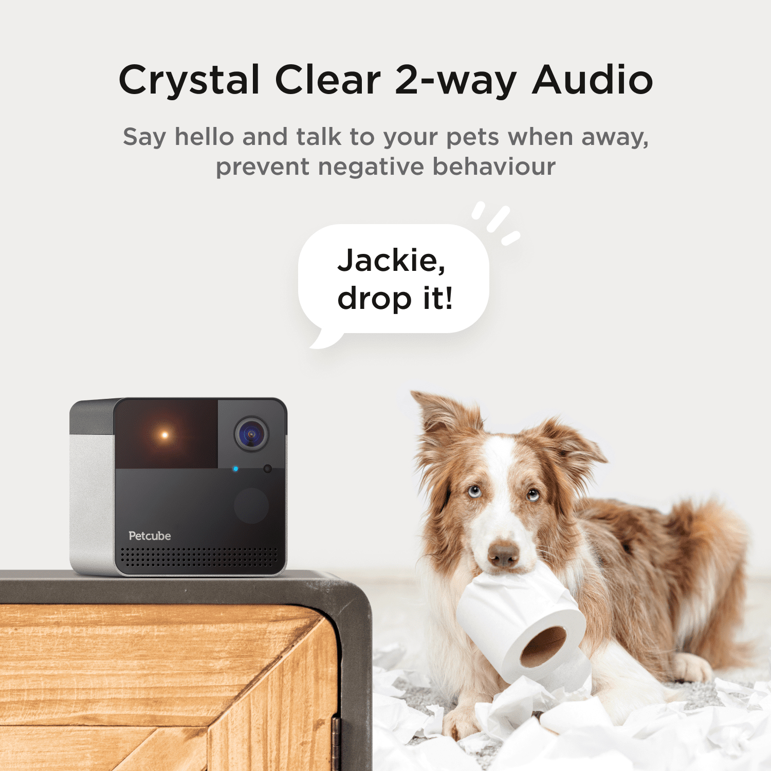 Play 2 Wifi Pet Camera with Laser Toy, 1080P HD, 160° View, Two-Way Audio, Night Vision, Motion & Sound Alerts, Dog & Cat Monitor with App