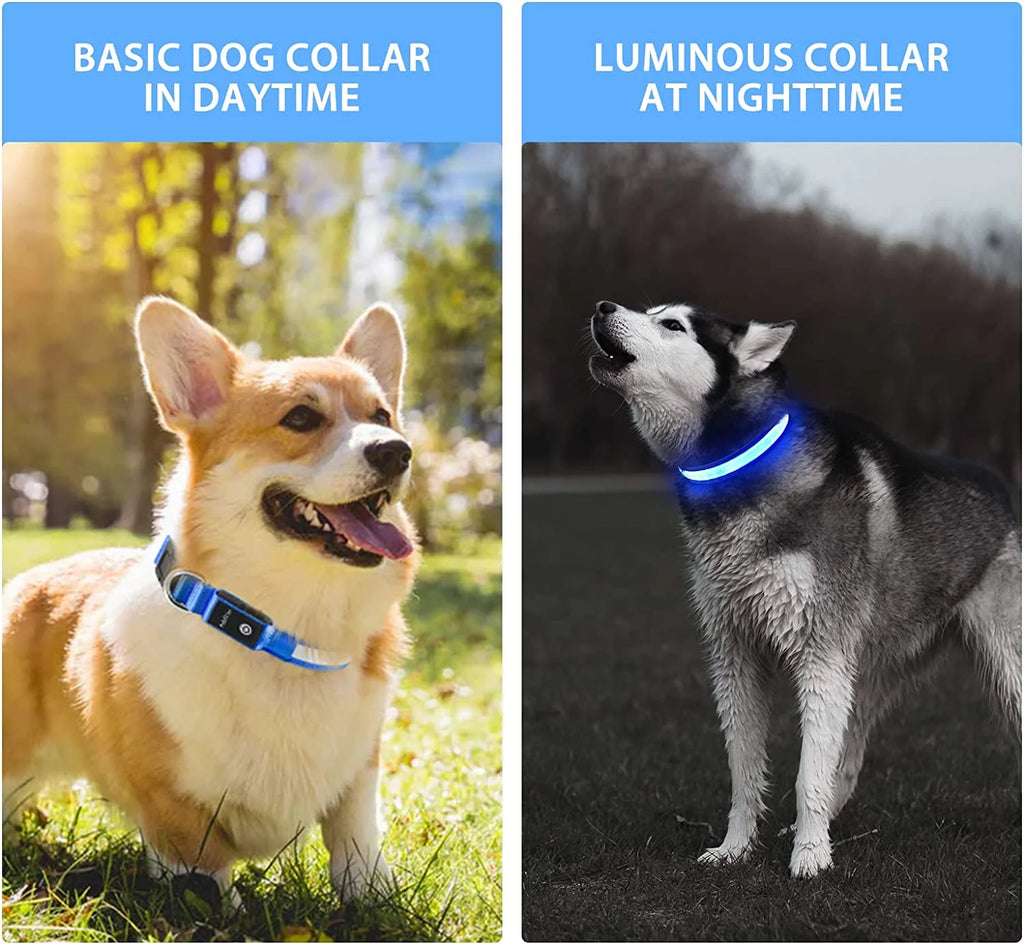 Light up Dog Collar for Night Walking - LED Dog Collar Light Rechargeable Color Changing, Glow in the Dark Dog Collars Waterproof Glowing Dog Collars for Large Small Medium Dogs Blue,L