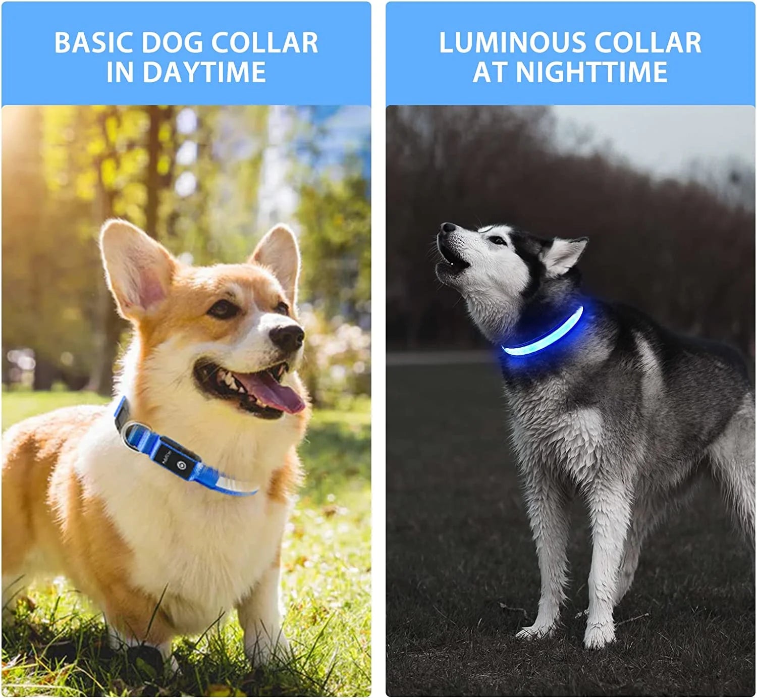 Light up Dog Collar for Night Walking - LED Dog Collar Light Rechargeable Color Changing, Glow in the Dark Dog Collars Waterproof Glowing Dog Collars for Large Small Medium Dogs Blue,L