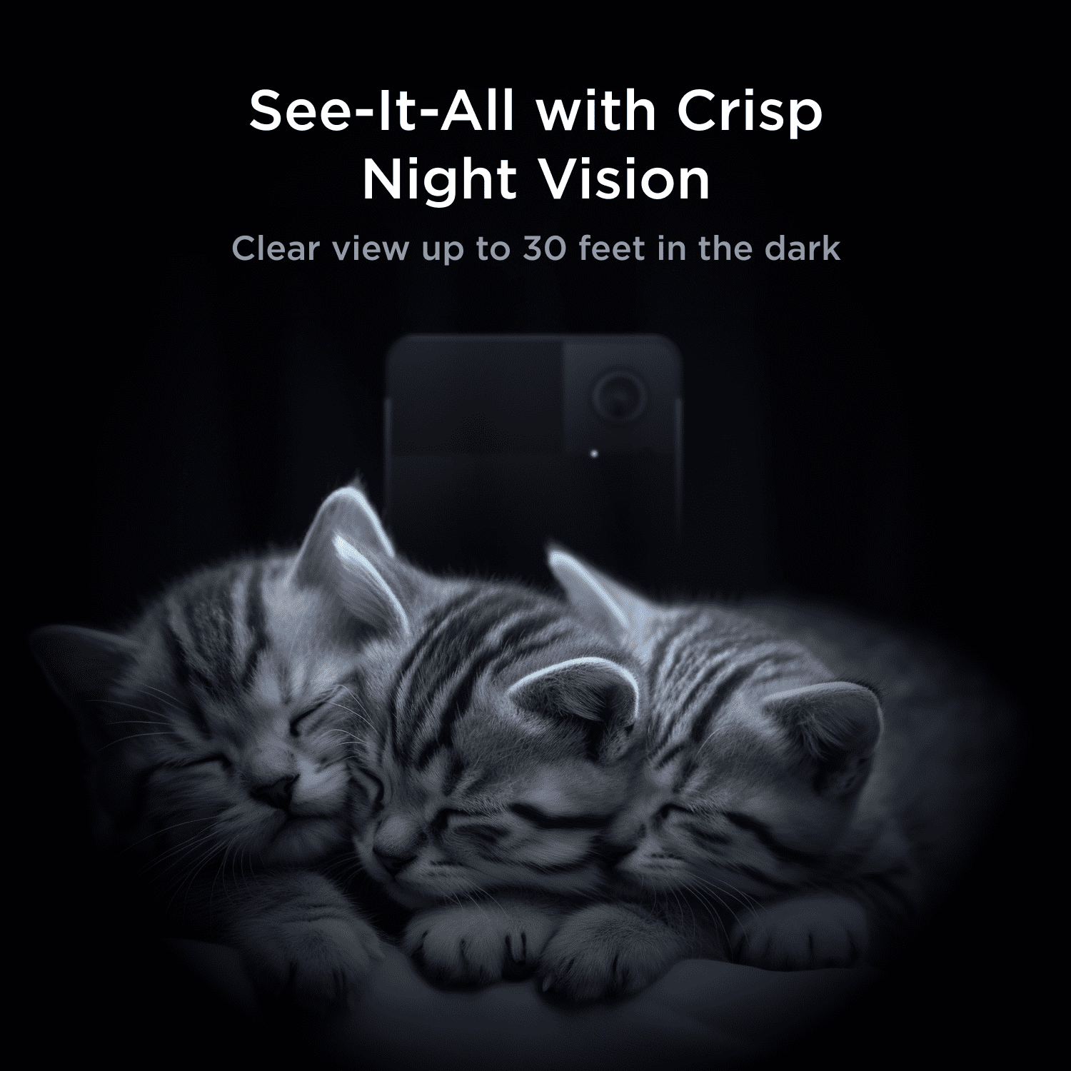 Play 2 Wifi Pet Camera with Laser Toy, 1080P HD, 160° View, Two-Way Audio, Night Vision, Motion & Sound Alerts, Dog & Cat Monitor with App