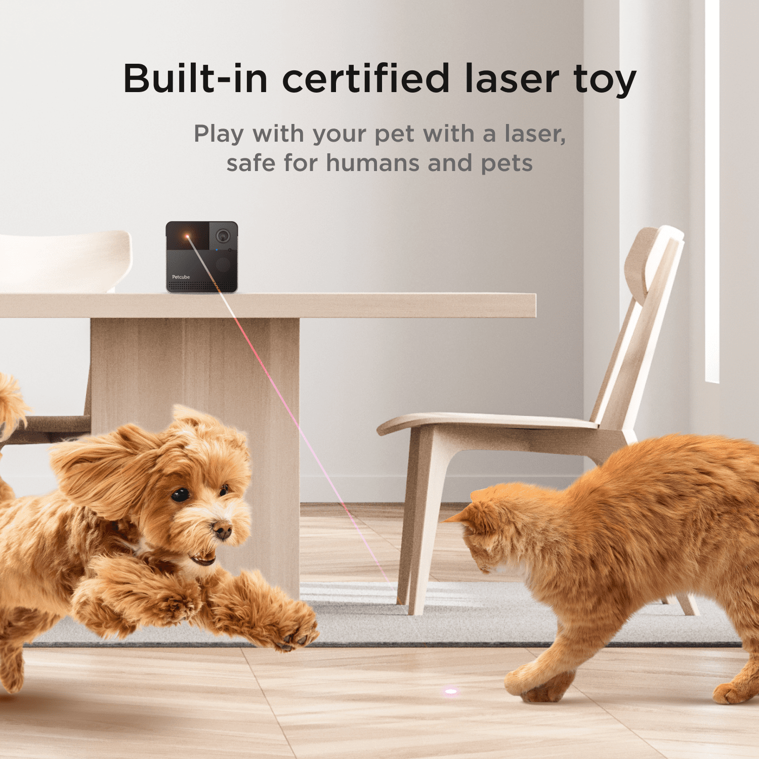 Play 2 Wifi Pet Camera with Laser Toy, 1080P HD, 160° View, Two-Way Audio, Night Vision, Motion & Sound Alerts, Dog & Cat Monitor with App