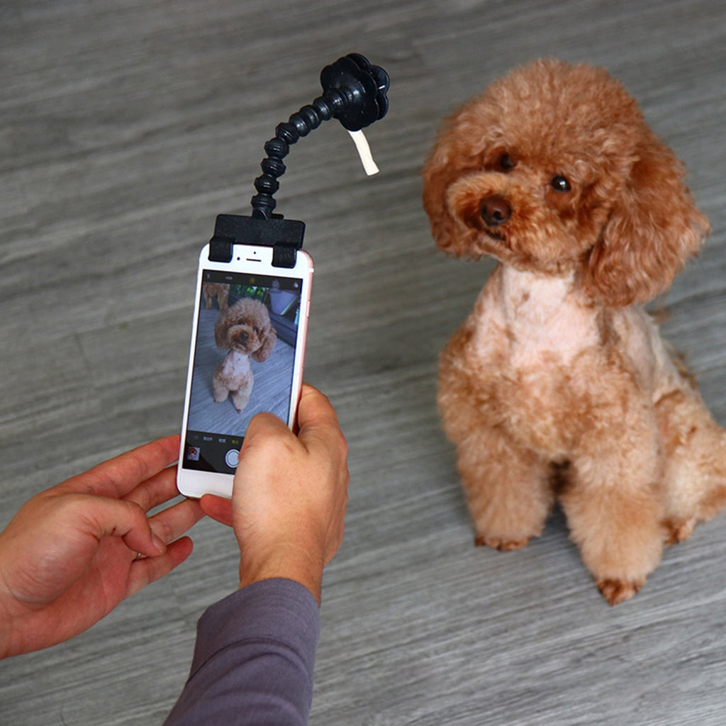 Pet Selfie Tool Smartphone Attachment Dog Selfie Stick Cellphone Treat Holder for Training Perfect Photo of Dogs Cats Captivate Attention Portrait Compatible on All Smartphones