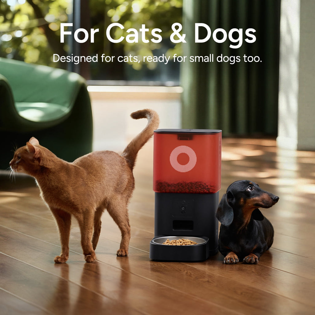 Automatic Cat Feeder with Camera