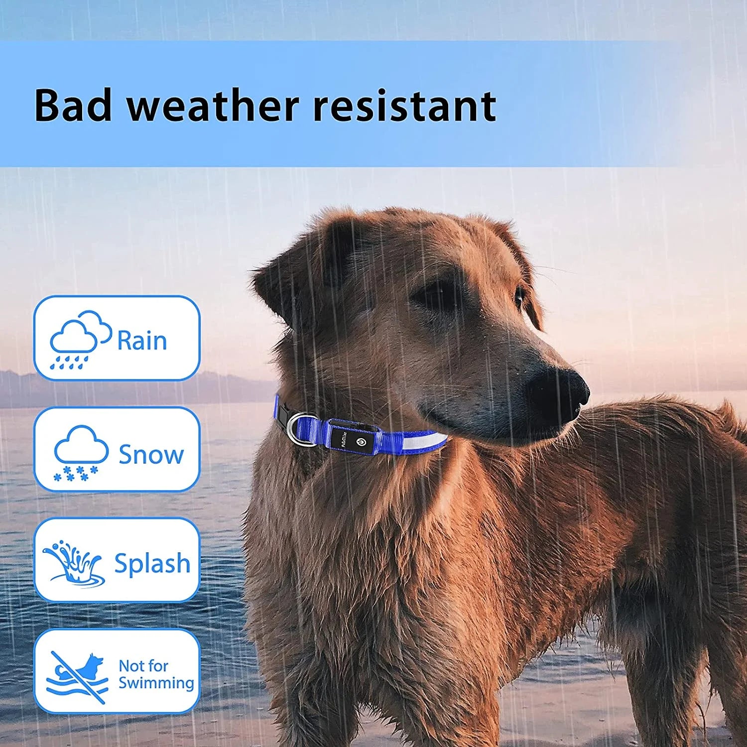 Light up Dog Collar for Night Walking - LED Dog Collar Light Rechargeable Color Changing, Glow in the Dark Dog Collars Waterproof Glowing Dog Collars for Large Small Medium Dogs Blue,L