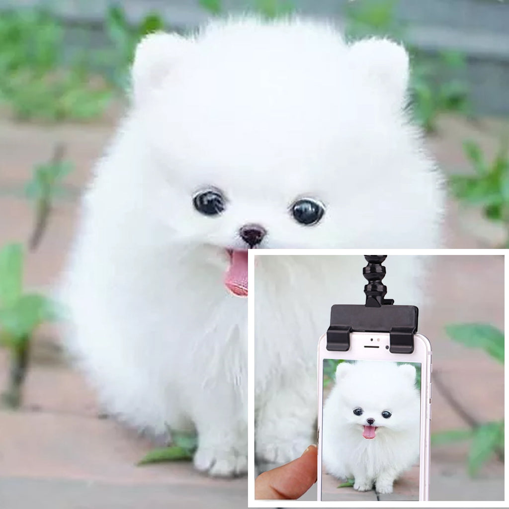 Pet Selfie Tool Smartphone Attachment Dog Selfie Stick Cellphone Treat Holder for Training Perfect Photo of Dogs Cats Captivate Attention Portrait Compatible on All Smartphones