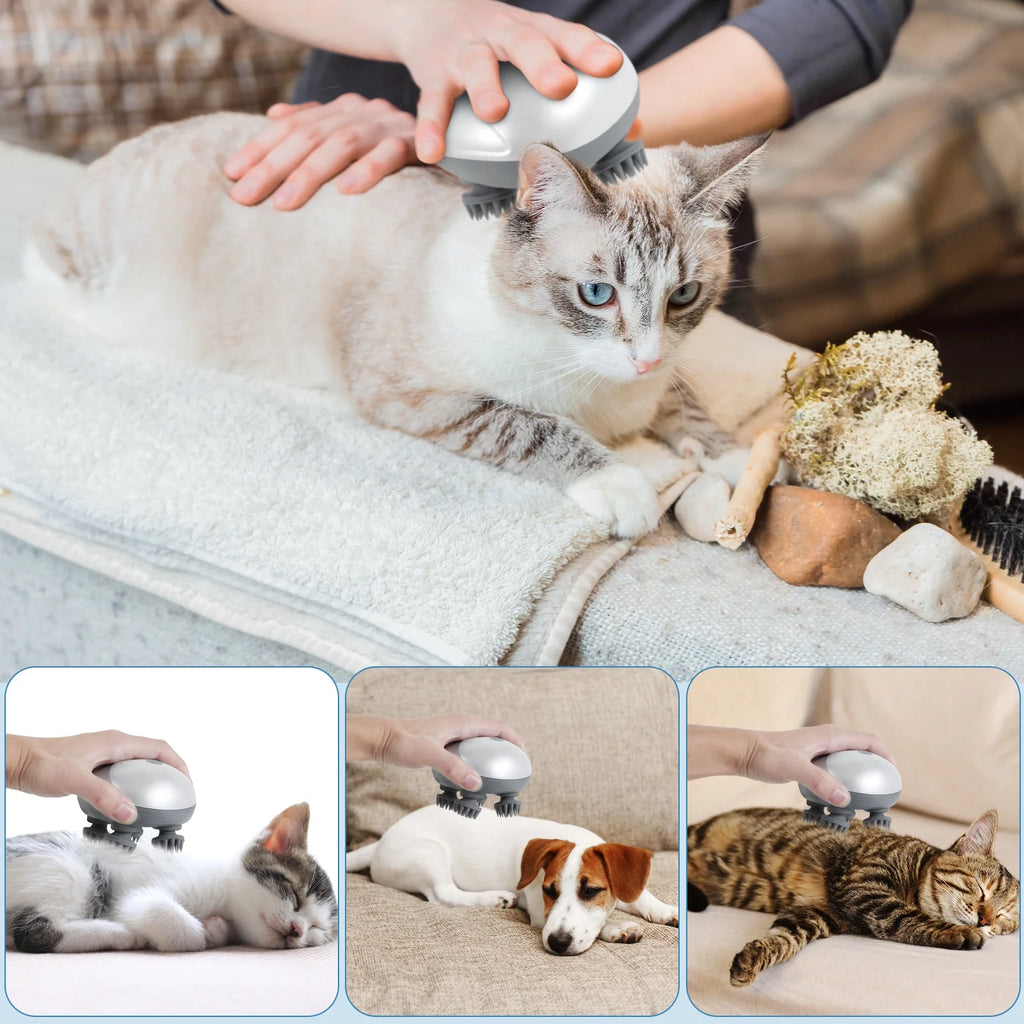 Electric Pet Massager Portable Handheld Pet Scalp Massager with 4 Massage Heads 3 Modes USB Rechargeable Waterproof Massage Tool for Dog Cat Body Relaxion