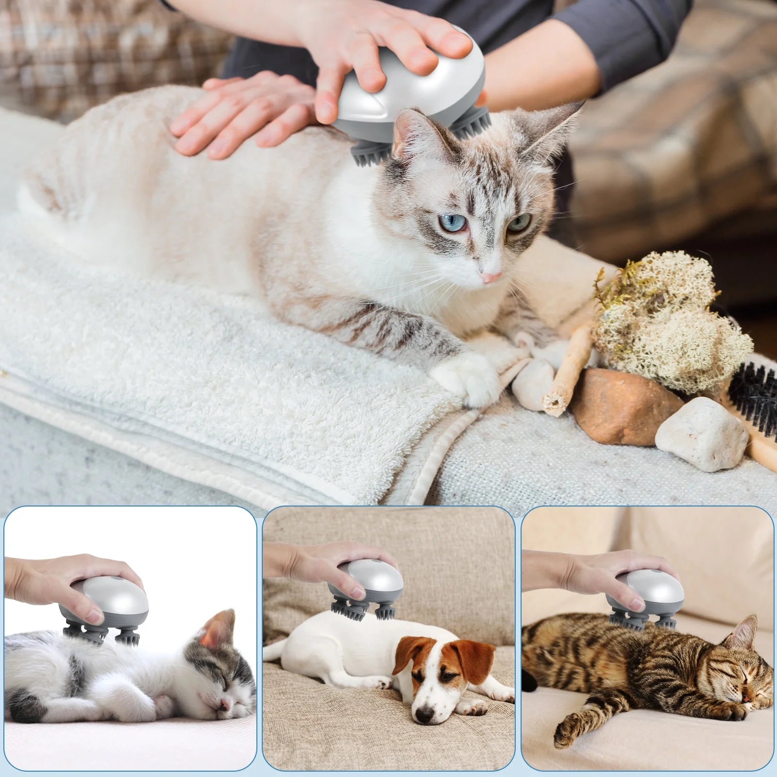 Electric Pet Massager Portable Handheld Pet Scalp Massager with 4 Massage Heads 3 Modes USB Rechargeable Waterproof Massage Tool for Dog Cat Body Relaxion